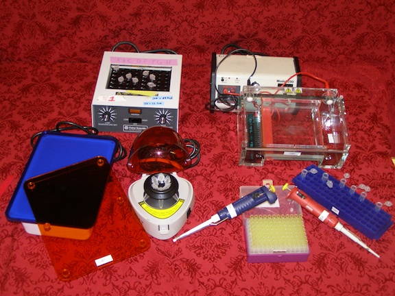 DNA Electrophoresis - High School (ONLY TRAINED TEACHERS CAN RESERVE THIS KIT)