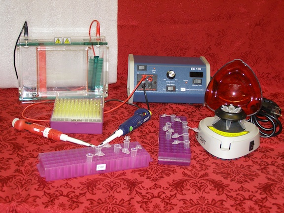 DNA Electrophoresis "Kit C" (NOT A FULL DNA KIT) - High School