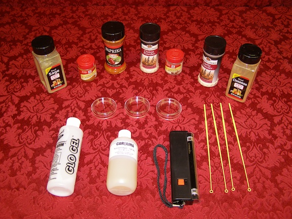 Spice Lab Kit - Middle/High School