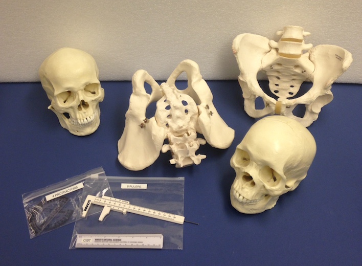 Forensics Anthropology Kit